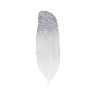 6 plumes argentées à paillettes