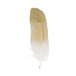 6 golden feathers with glitter