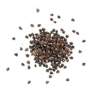 Roasted buckwheat - Sobacha - 20 bags
