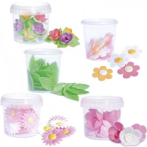 Coffret décors azyme feuilles et fleurs Coffret décors azyme feuilles et fleurs