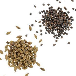 Coffret de céréales torréfiées Orge et Sarrasin