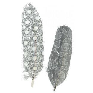 6 feathers with black & white patterns