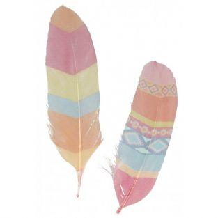 6 plumes color?es Totem