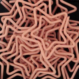 20 trombones ?toiles - corail