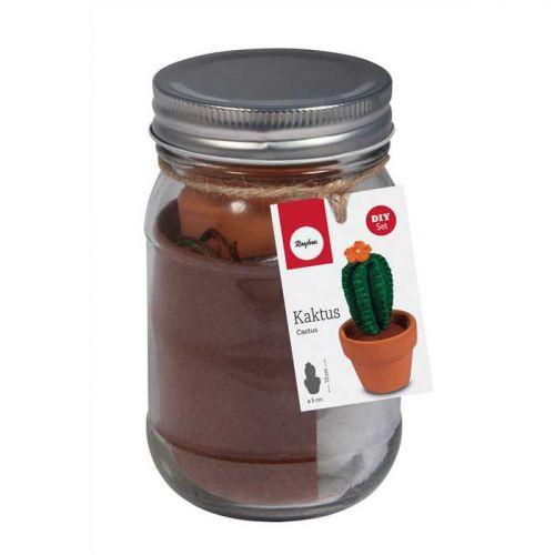 Kit Cactus Ø 5 cm x 10 cm Kit Cactus Ø 5 cm x 10 cm