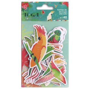 40 formes découpées - Oiseaux tropicaux