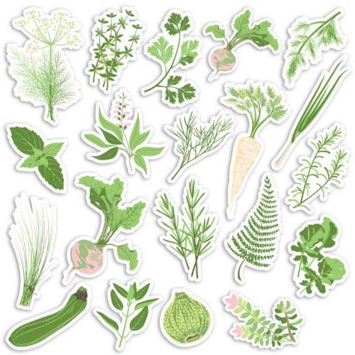 20 formes découpées - Potager 20 formes découpées - Potager