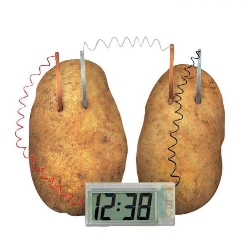 Science discovery box - Potato Clock Science discovery box - Potato Clock