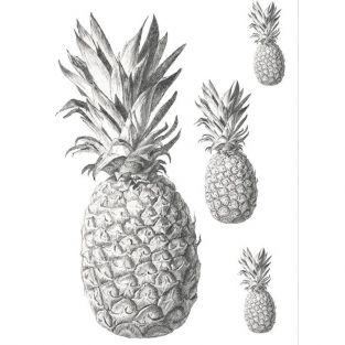 Transfert thermocollant noir & blanc A4 - Ananas