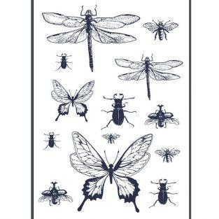 Transfert thermocollant noir & blanc - Insectes