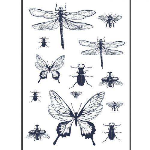 Transfert thermocollant noir & blanc - Insectes Transfert thermocollant noir & blanc - Insectes