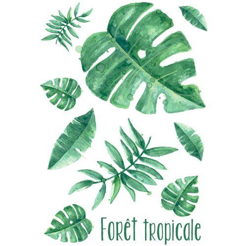 Transfert thermocollant A4 - Forêt tropicale