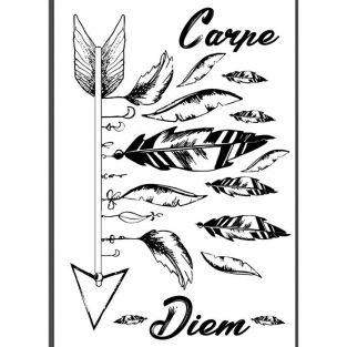 Iron-on transfer A4 black & white - Carpe diem