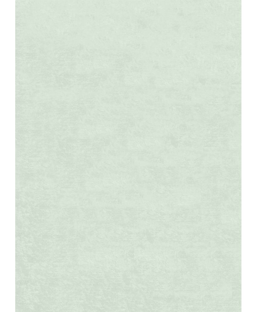 Tapis d'intérieur uni 120 x 180 cm - Vert Tapis d'intérieur uni 120 x 180 cm - Vert