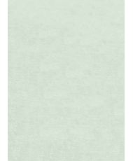 Tapis d'intérieur uni 80 x 150 cm - Vert
