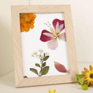 Wooden frame for Herbarium 13 x 17 cm