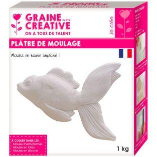 Plâtre de moulage 1 kg