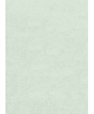 Tapis d'intérieur uni 80 x 150 cm - Vert