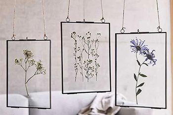 Frames