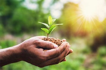 Certified Organic Products