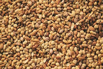 Spezie dal mondo Bio