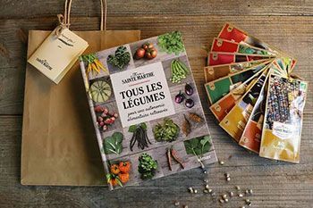 Sowing seeds