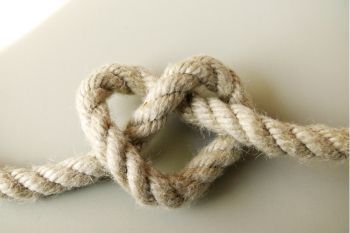 Coups de coeur