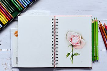 Watercolour pencils