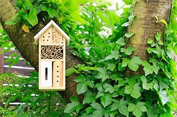 Casas para insectos