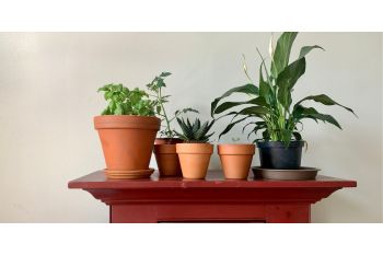 Outdoor storage