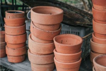 Flower boxes and pots