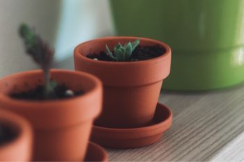 Pot holders